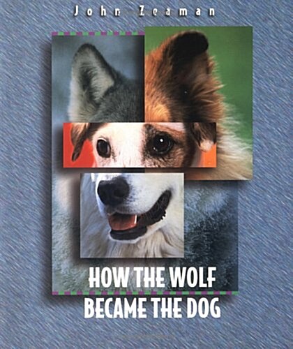 [중고] How the Wolf Became the Dog (Before They Were Pets) (Paperback)