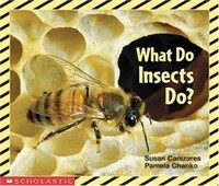 What Do Insects Do (Paperback)