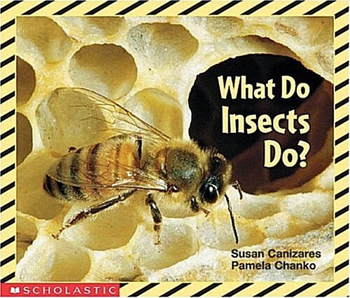 [중고] What Do Insects Do (Paperback)