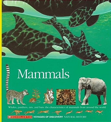 Mammals: Whales, Panthers, Rats, and Bats: The Characteristics of Mammals from Around the World (Voyages of Discovery) (Mass Market Paperback)