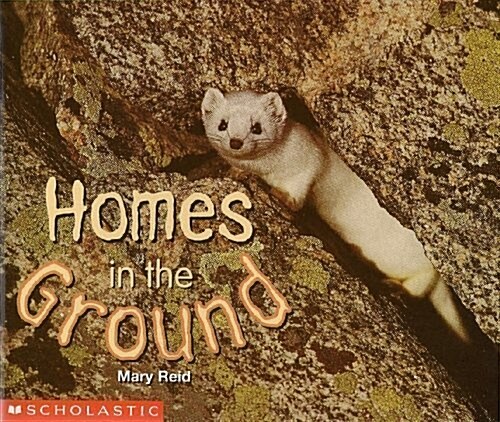 Homes in the Ground (Paperback)