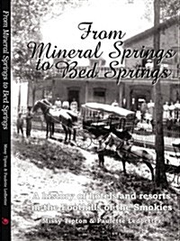 From Mineral Springs to Bed Springs: A History of Hotels and Resorts in the Foothills of the Smokies (Paperback)