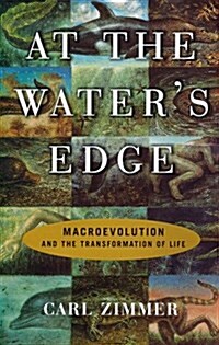At the Waters Edge : Macroevolution and the Transformation of Life (Paperback)