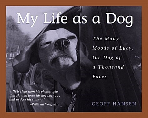 My Life As A Dog-The Many Moods Of Lucy...Dog Of A (Hardcover, First Edition, First Printing)