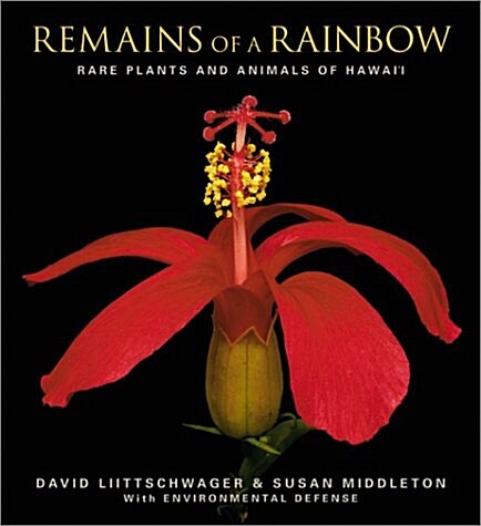 [중고] Remains of a Rainbow: Rare Plants and Animals of Hawai‘i (Paperback)