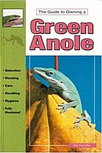 The Guide to Owning a Green Anole (Paperback)