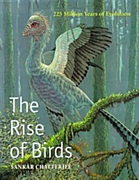 The Rise of Birds (Hardcover)