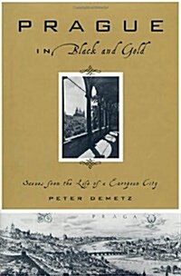 Prague in Black and Gold: Scenes from the Life of a European City (School & Library Binding, 1st)