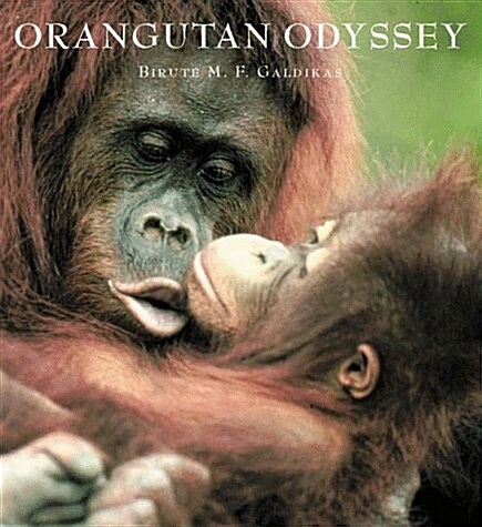 Orangutan Odyssey (Hardcover, First Edition)