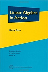 Linear Algebra in Action (Hardcover)