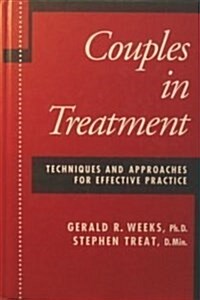Couples In Treatment: Techniques And Approaches For Effective Practice (Hardcover, First Edition)