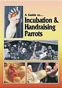 A Guide to Incubation & Handraising Parrots (Paperback)