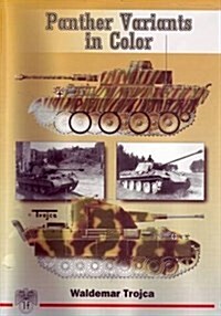 Panther Variants in Color (Paperback)