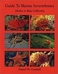 Guide to Marine Invertebrates: Alaska to Baja California (Paperback, 2nd Printing)