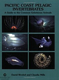 Pacific Coast Pelagic Invertebrates (Paperback)