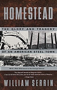 Homestead: The Glory and Tragedy of an American Steel Town (Paperback, Vintage Books)