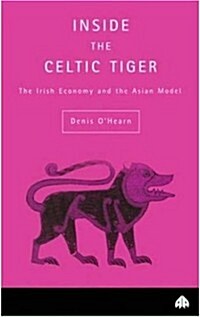 Inside the Celtic Tiger (Paperback)