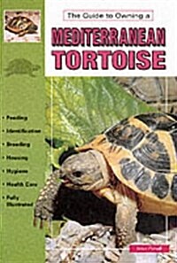 Mediterranean Tortoises (Paperback, 1st Ed.)