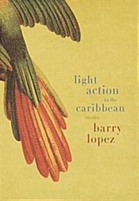 Light Action in the Caribbean: Stories (Hardcover, 1st)