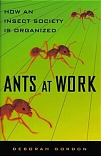 Ants At Work: How An Insect Society Is Organized (Hardcover)