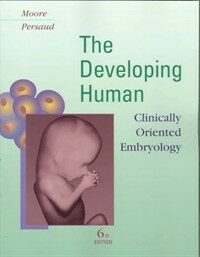 The developing human: clinically oriented embryology 6th ed