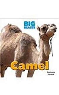 Camel (Library Binding)