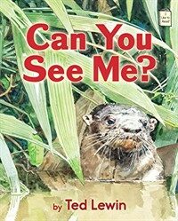 Can You See Me? (Paperback)