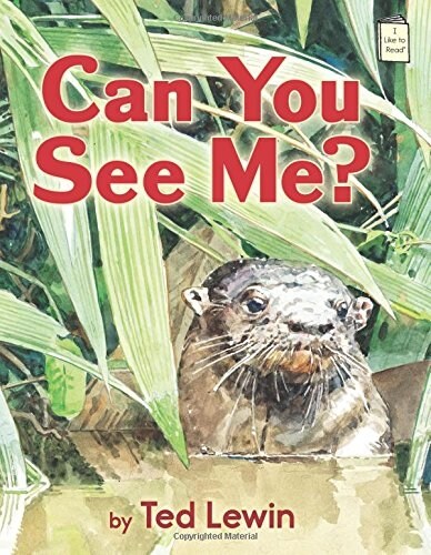 Can You See Me? (Paperback)