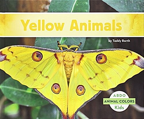 Animal Colors (Set) (Library Binding)
