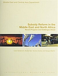 Subsidy Reform in the Middle East and North Africa: Recent Progress and Challenges Ahead (Paperback)