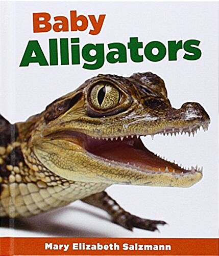Baby Alligators (Library Binding)