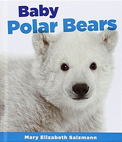 Baby Polar Bears (Library Binding)