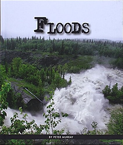 Floods (Library Binding)