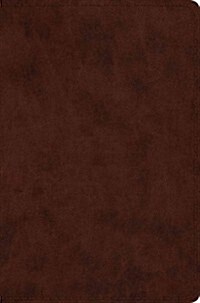 Compact Bible-ESV (Imitation Leather)