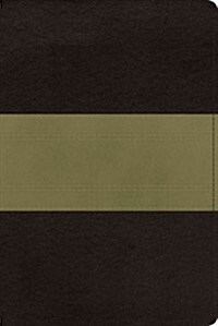 Study Bible-ESV-Personal Size Trail Design (Imitation Leather)