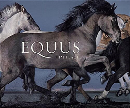 Equus (Mini) (Hardcover, Revised)