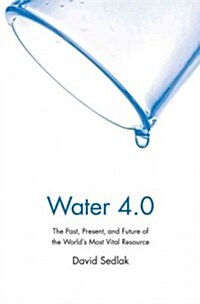 Water 4.0: The Past, Present, and Future of the Worlds Most Vital Resource (Paperback)