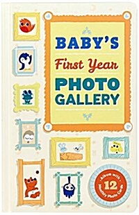 Babys First Year Photo Gallery: Album with 12 Monthly Photo Cards (Other)
