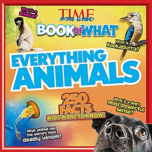 Everything Animals (Time for Kids Book of What) (Paperback)