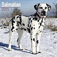 Dalmatian 2015