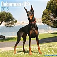 Doberman (US) 2015
