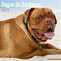 Dogue de Bordeaux 2015