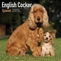English Cocker Spaniel 2015
