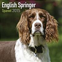 English Springer Spaniel 2015