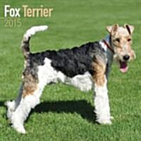 Fox Terrier 2015