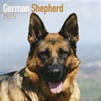 German Shepherd 2015