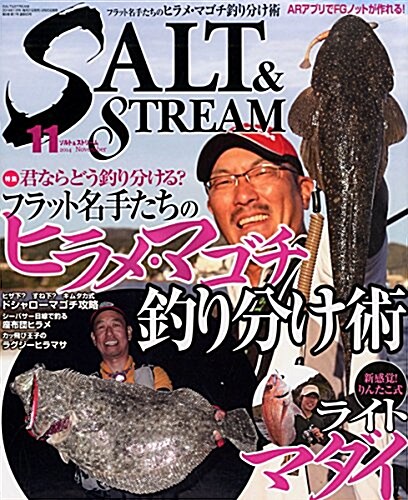 SALT & STREAM (ソルトアンドストリ-ム) 2014年 11月號 [雜誌] (月刊, 雜誌)