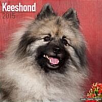 Keeshond 2015