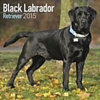 Labrador Retriever (Black) 2015