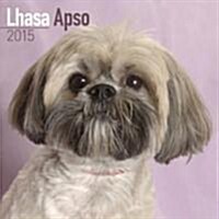 Lhasa Apso 2015